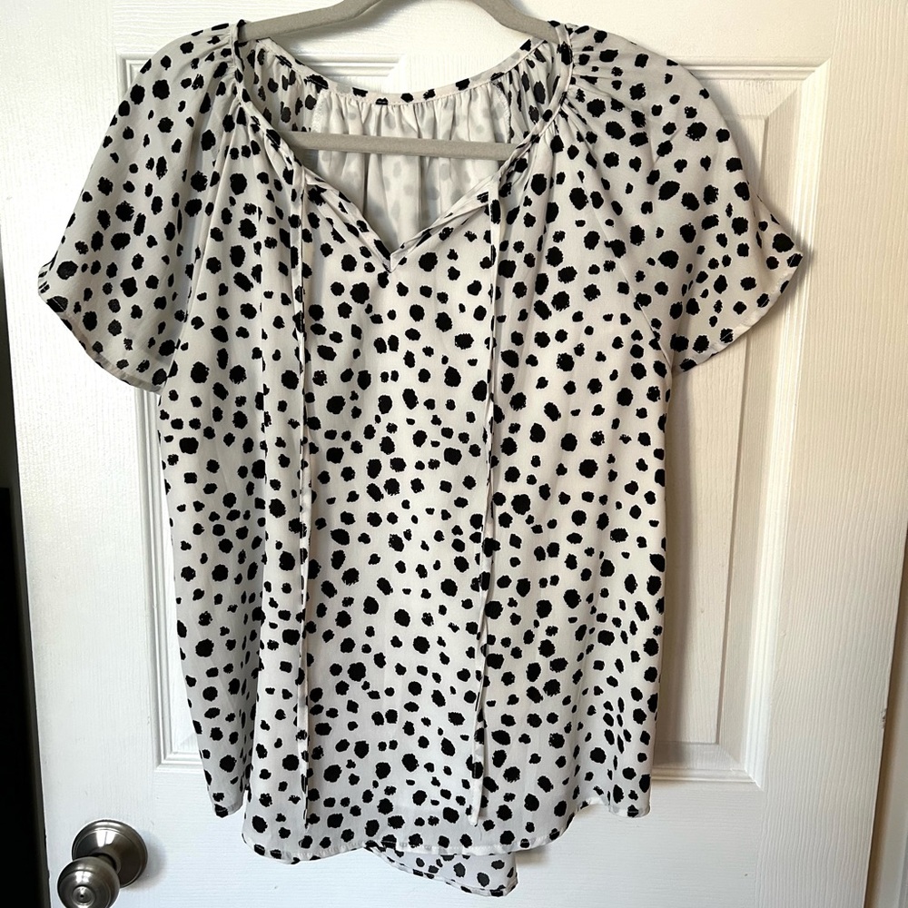 Mansy Women’s Short Sleeve Ruffle Shirt